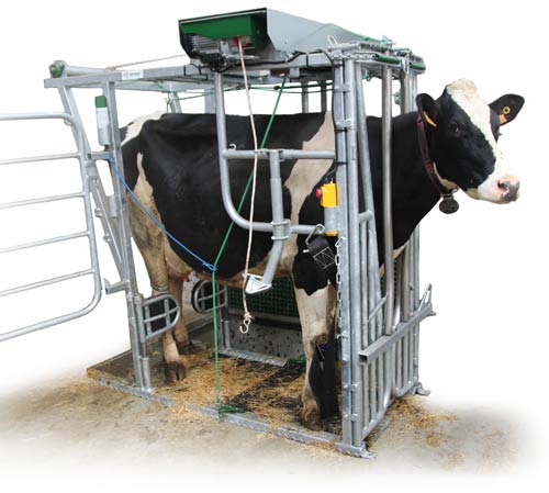 Cage de contention et de parage electrique SOCOBER pour les éleveurs