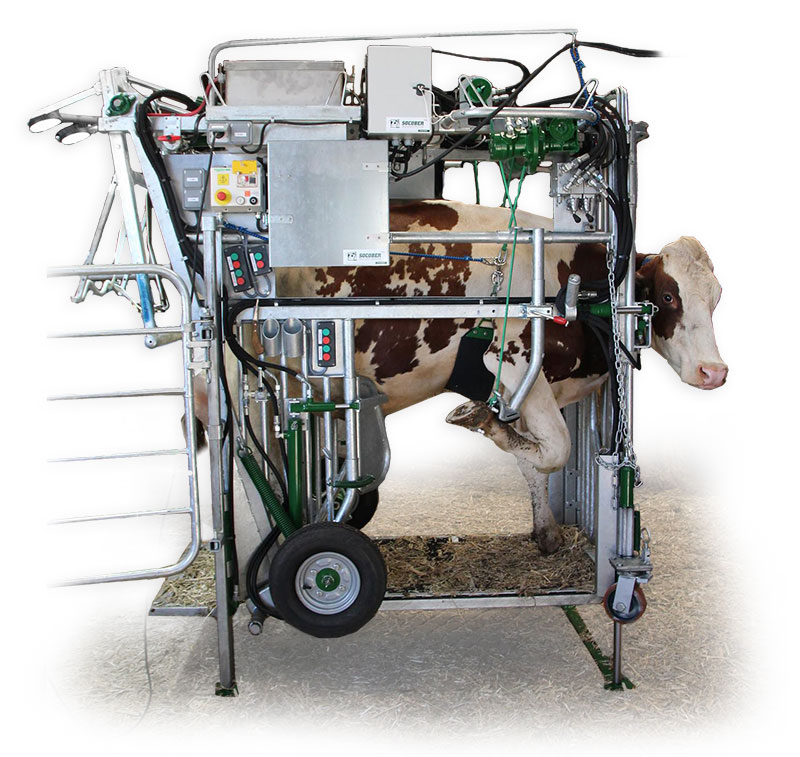 Cage de contention SOCOBER HLBS