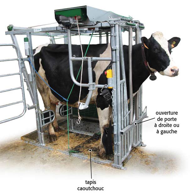 Cage de contention SOCOBER EBST5 C