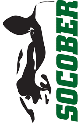socober logo vache