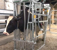 Vidéo de la cage de contention éleveur EBST5